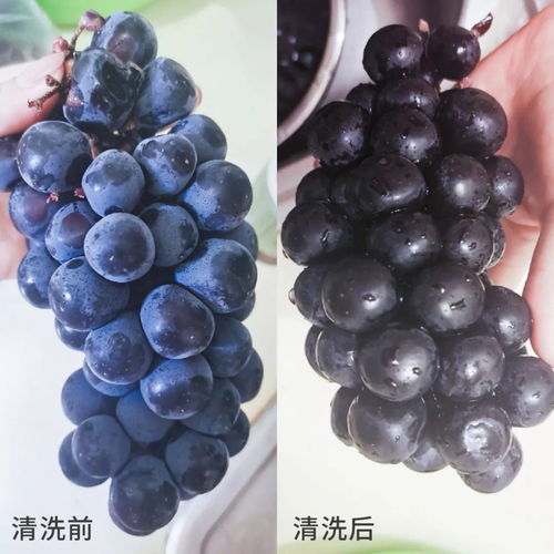 非常時期不要慌，做好這7道防護——非離子表面活性劑的安全應用指南